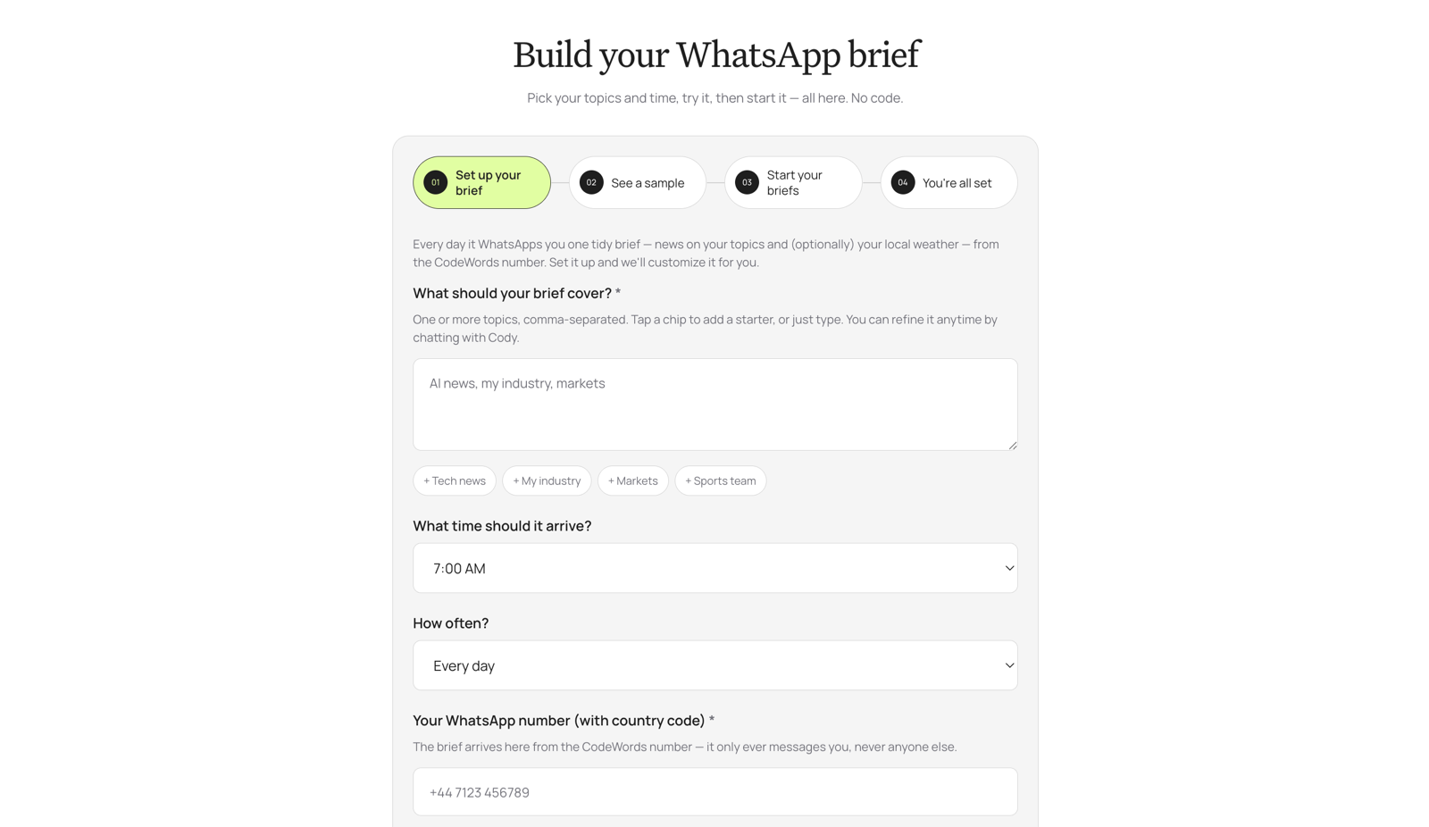 The WhatsApp agent builder showing a clear step-by-step setup flow with progress steps across the top